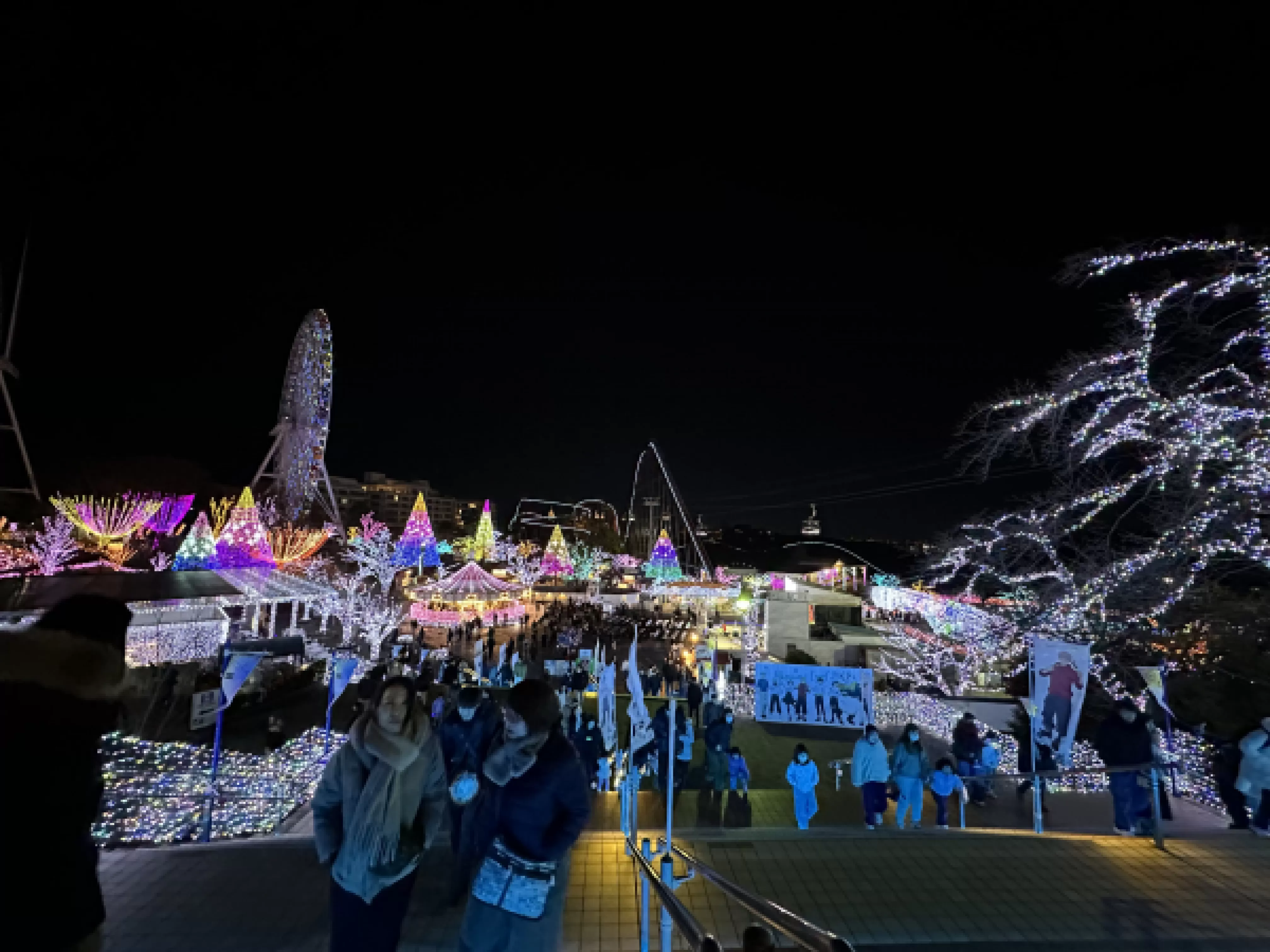 ゆみさんのブログ画像