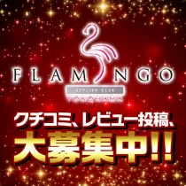 横浜FLAMINGO（ヨコハマ フラミンゴ）